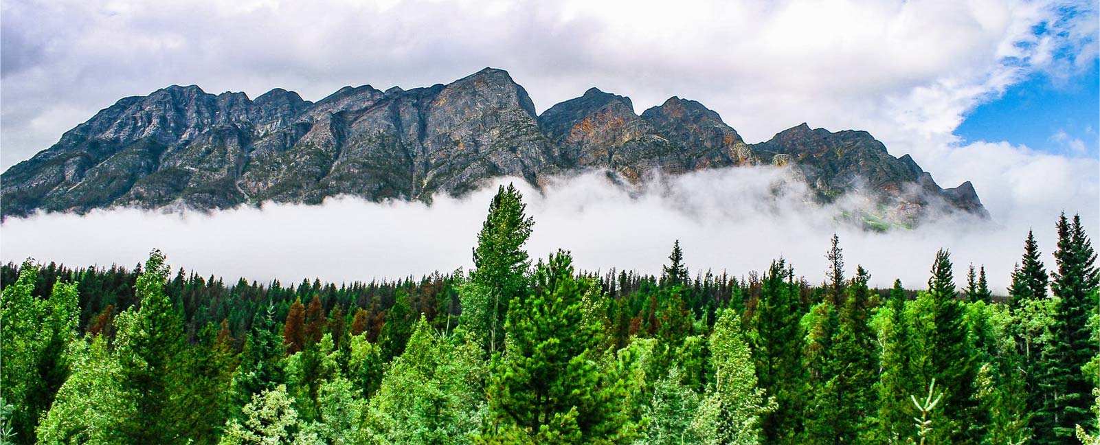 Zhejiang Zhongli Bahan Sintetis Technology Co, Ltd.